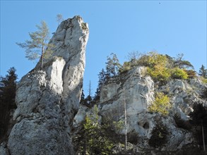 Rock on the Danube Valley Trail near Scheuerlehof, Upper Danube nature park Park, Fridingen,