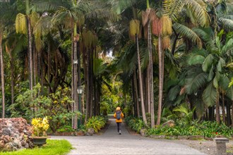 A person is walking through a forest with palm trees. The person is wearing a yellow jacket. The