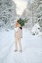 An unrecognizable woman carries fir branches on her shoulder while walking along a snowy forest