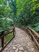 Jardin Botaniqu de Deshaies, botanical garden with flora and fauna in Guadeloupe, Caribbean, French