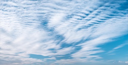 Blue sky with gathering veil clouds, panorama, wallpaper, sky replacement