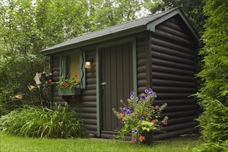 Brown painted D-Log shaped log cabin style garden storage shed with red Pelargonium, Geraniums in