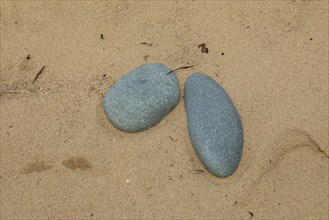 Stones in the sand of the dunes, beach, LLanddwyn Bay, Newborough, Isle of Anglesey, Wales, Great