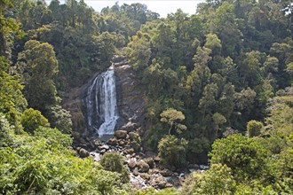 Valara Waterfall, Idukki District, Kerala, India, Asia