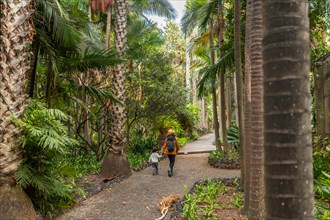 A mother and child enjoying and walking in a tropical botanical garden. family on vacation