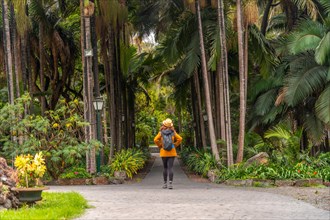 A tourist woman in a straw hat strolling in a tropical botanical garden with large palm trees