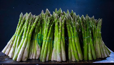 Several bundles of green asparagus lined up in front of a dark background, AI generated, AI