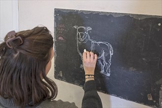 Young woman drawing a sheep on a blackboard with chalk, Mecklenburg-Vorpommern, Germany, Europe