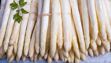 Close-up of neatly bundled asparagus wrapped in parchment, AI generated, AI generated