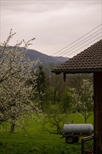 A flowering tree next to a water tank with a view of a mountainous landscape, Neubeuern, Germany,