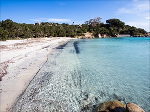 Sandy beach beach, secluded bay, Capriccioli beach, Costa Smeralda, Sardinia, Italy, Europe