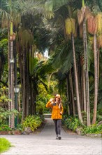 A tourist woman walking in a tropical botanical garden with large palm trees along a path, vertical