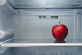 Single apple in open refrigerator. KI generiert, generiert, AI generated