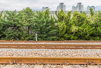 Railway tracks surrounded by green trees with an urban skyline and overcast sky in the background,