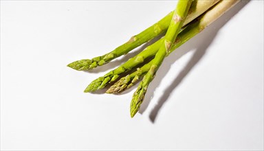 Fresh asparagus on white background with strong shadows and texture, AI generated, AI generated