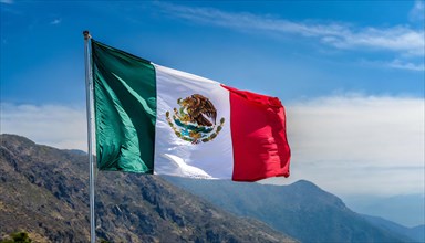 Flag, the national flag of Mexico flutters in the wind