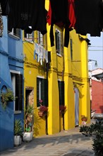 Colourful houses, Burano, Burano Island, Bright yellow house with red flower pots in a Venetian
