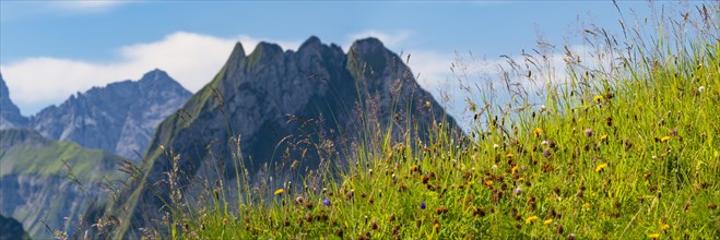 Mountain panorama from Laufbacher-Eckweg to Hoefats, 2259m, Allgaeu Alps, Allgaeu, Bavaria,