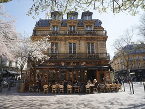 Menschen sitzen draussen an einem Cafe, umgeben von Fruehlingsblueten, Lifestyle in Paris,