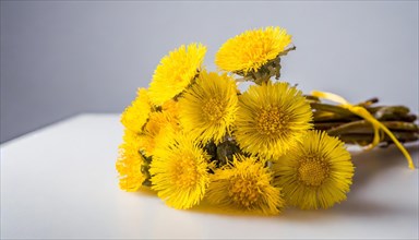 Coltsfoot flowersDandelion in a transparent vase, minimalistically arranged with a reflection,