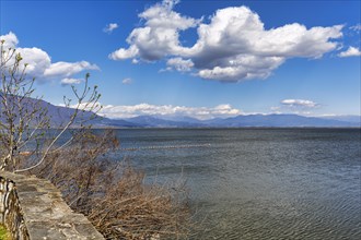 Lake Kerkini, Lake Kerkini, buds in front of snow-covered mountains in spring, Central Macedonia,