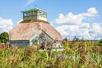Visitor center in a wetland with growing reeds a sunny summer day, Hornborgasjoen, Falkoeping,
