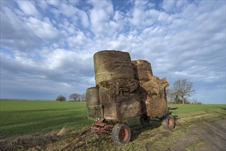 Loader wagon loaded with old hay bales at the edge of a field, Mecklenburg-Western Pomerania,