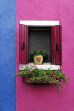 Colourful houses, Burano, Burano Island, Lively window with red shutters and a heart-shaped pot on