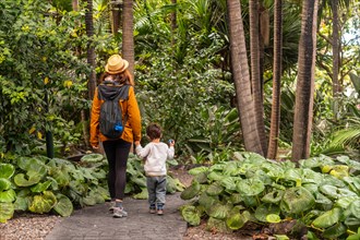 A woman with her son walking in a botanical garden. Walking with family on vacation
