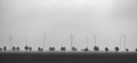 Young tree avenue and wind turbines on the motorway, Thuringia, Germany, Europe