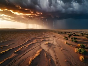 Rare and powerful sight of a rainstorm sweeping across a desert landscape, AI generated