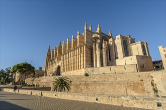 Beautiful view of cathedral in Palma de Mallorca, Spain, Europe