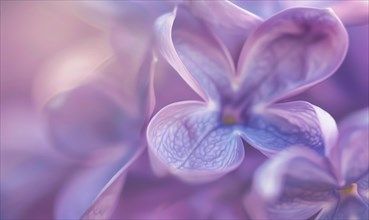 A close-up of lilac petals, closeup view, soft focus AI generated