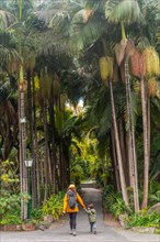 A mother with her son walking in a tropical botanical garden with many palm trees, family vacation