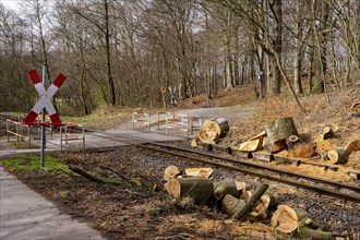 Narrow-gauge railway bed of the Raging Roland, Ruegen, Mecklenburg-Western Pomerania, Germany,