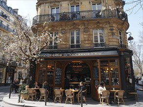 Gemuetliche Cafe-Terrasse mit Blick auf einen bluehenden Baum und Pariser Architektur, Lifestyle in