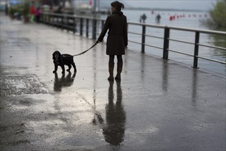 Woman with her Dog on the Walkway with reflection in a Rainy Day with Sunlight in Switzerland. |