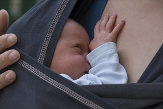 Infant, 20 days old, in his mother's sling, Mecklenburg-Vorpommern, Germany, Europe