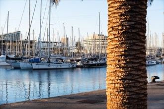 Marina in the old harbour of Barcelona, Spain, Europe