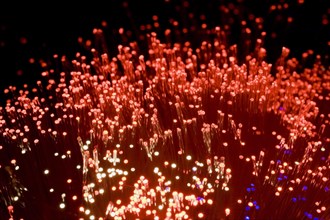 Close-up of red, white and blue lighted fibre optic cables, Studio Composition, Quebec, Canada,