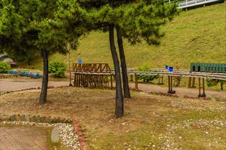 A miniature railway in a park surrounded by trees and footpath, in South Korea
