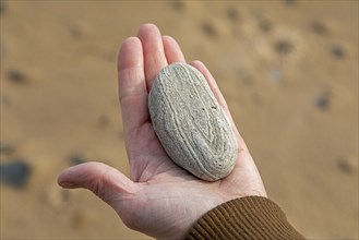 Woman holding stone in hand, beach, LLanddwyn Bay, Newborough, Isle of Anglesey, Wales, Great