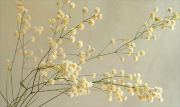 A detailed shot of Mimosa stems arranged in a vase AI generated