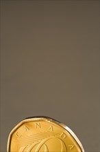Close-up of gold colored Canadian one dollar coin on dark silver background, Studio Composition,