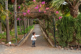 A child enjoying and walking in a botanical garden. Tropical plants concept