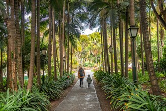 A woman and a child walk down a path in a forest. The path is lined with palm trees and the woman