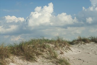 Dunes on the west beach near Zingst, Mecklenburg-Western Pomerania