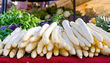 Bundles of fresh white asparagus presented on a market stall, AI generated, AI generated