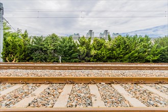 Railway tracks on a bright day with lush green foliage and city buildings under a sky with fluffy