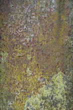 Rusty metal surface as background, vintage, North Rhine-Westphalia, Germany, Europe